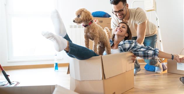 5 Tips for Moving on a Budget