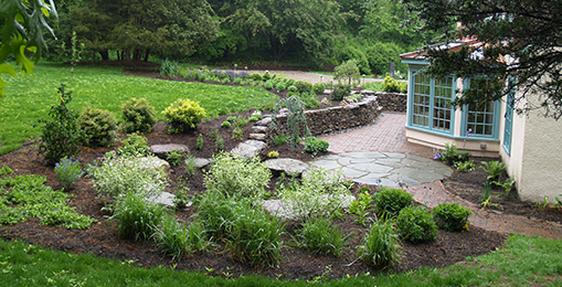 Rain garden in the front yard of a home