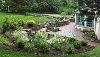 Rain garden in the front yard of a home