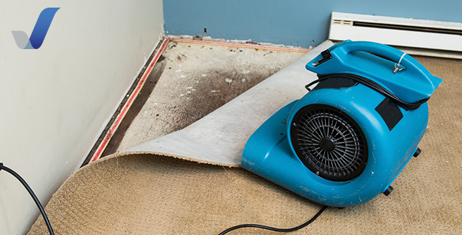 Space heater drying wall and carpet damaged by water